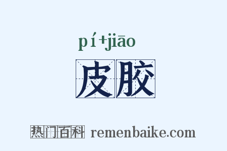 皮胶是什么意思的图片